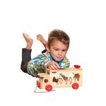 Sorting Truck with Animal Shapes by Wonder 4 Kids