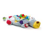 Activity Riding Dog with 60 balls by Wonder 4 Kids